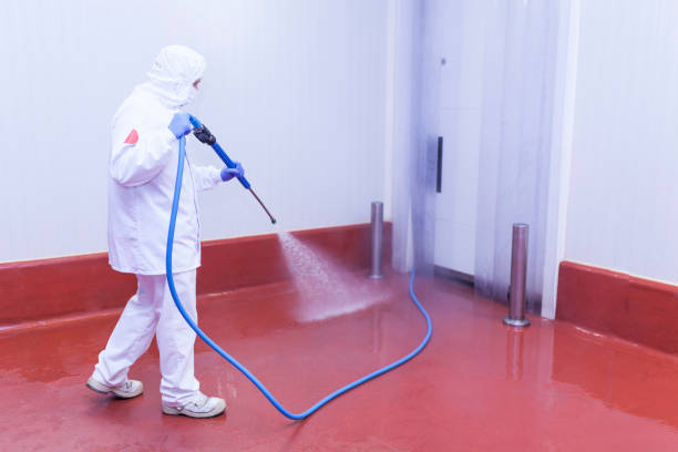 Spring Cleaning in Willamina, OR