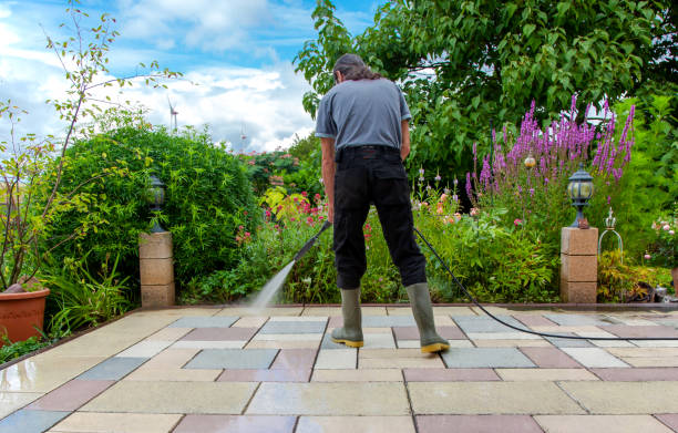 Best Patio and Deck Pressure Washing  in Willamina, OR